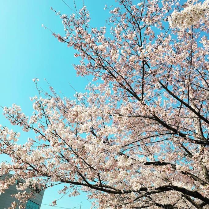 Private Hanok Space Moda Holiday home