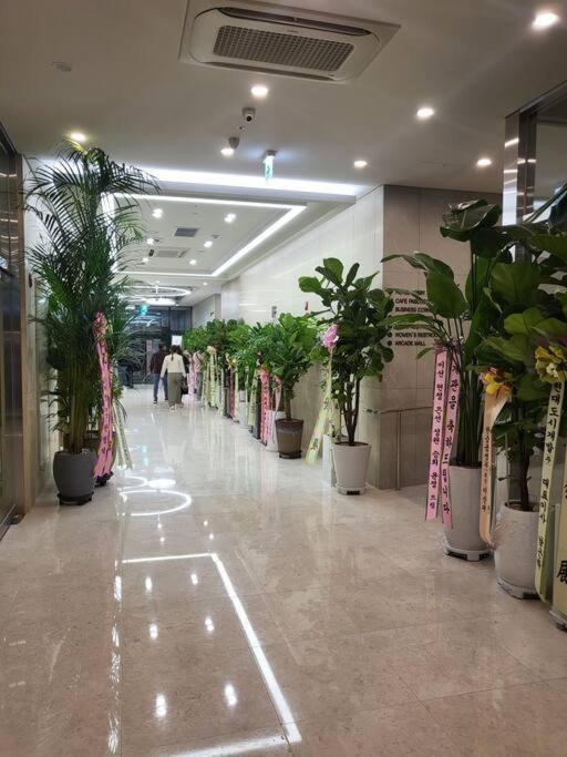 Apartment Stayc Myeongdong Seoul