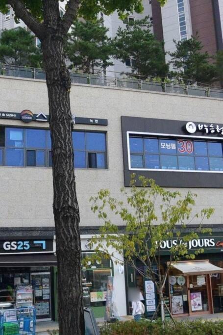 Nocbeon * Seoul