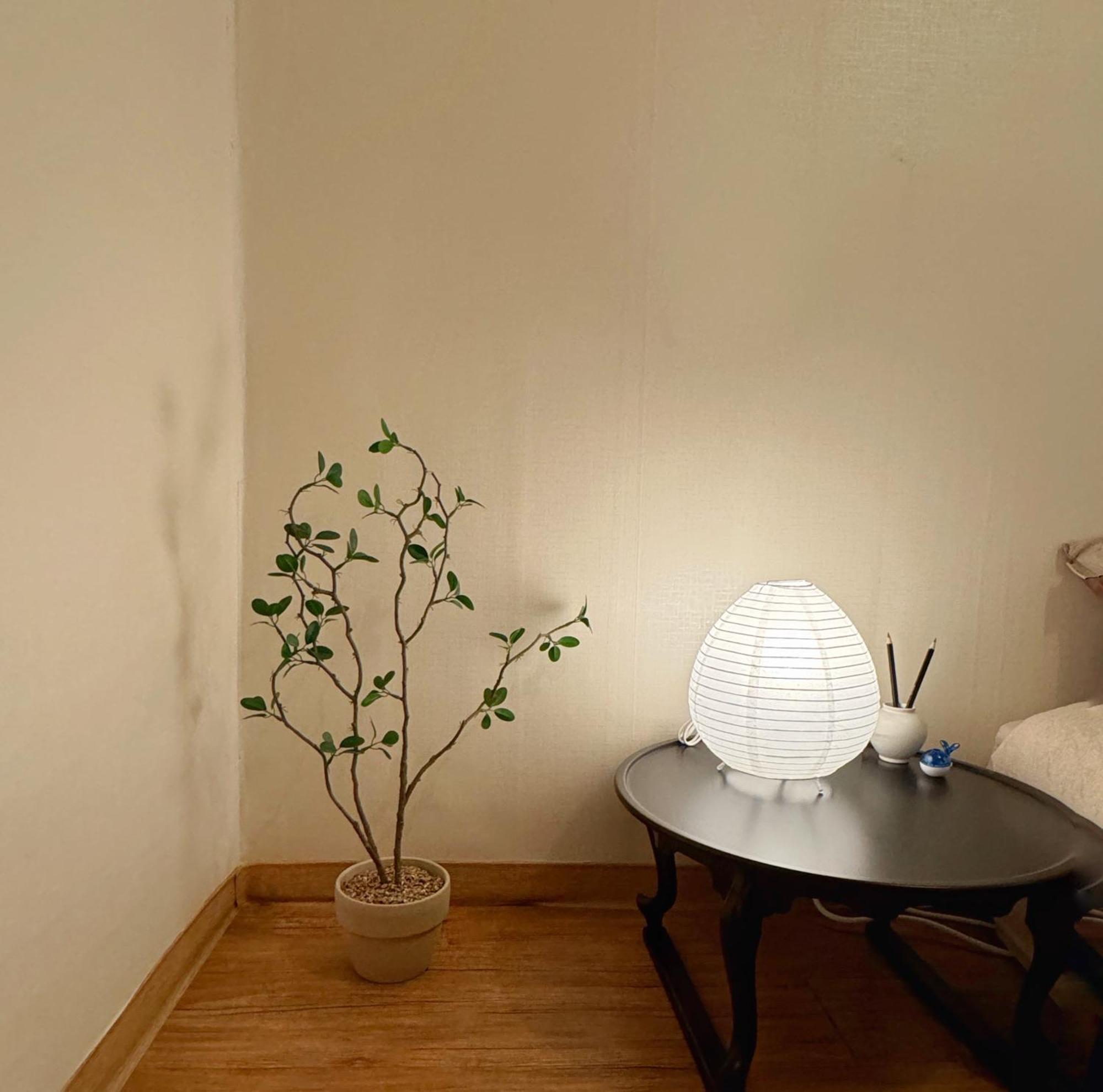 La Tulipe Apartment *