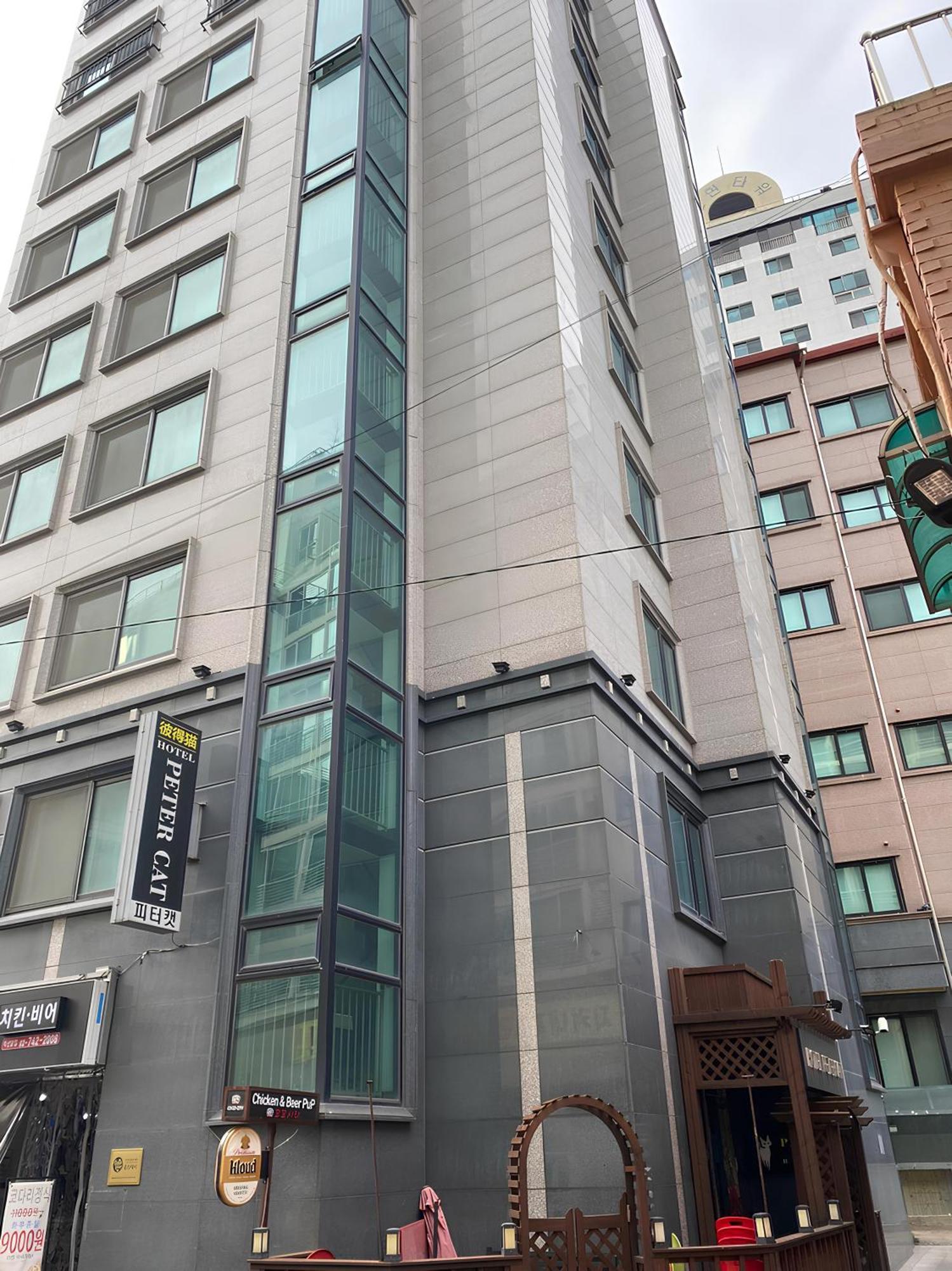 Ssh Ikseon Peter Cat * Seoul