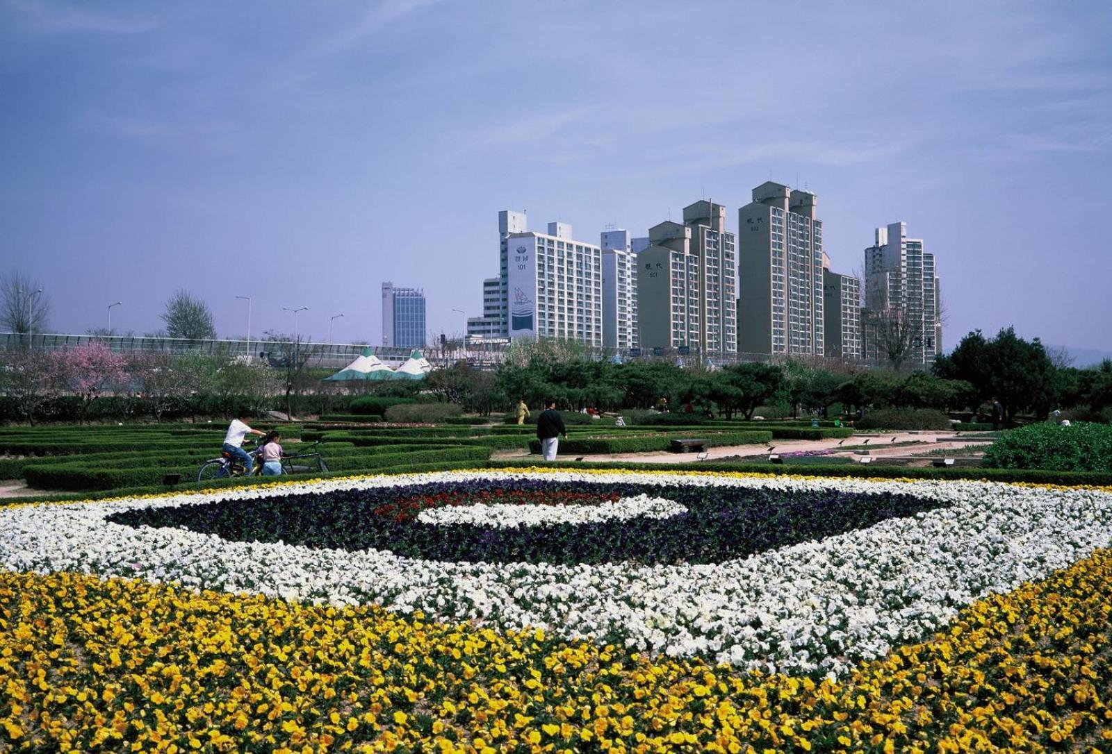 Close To Gangnam, Coex, Asan Medical Centar & Luxury Near Lotte World, Free Korean Ramen *