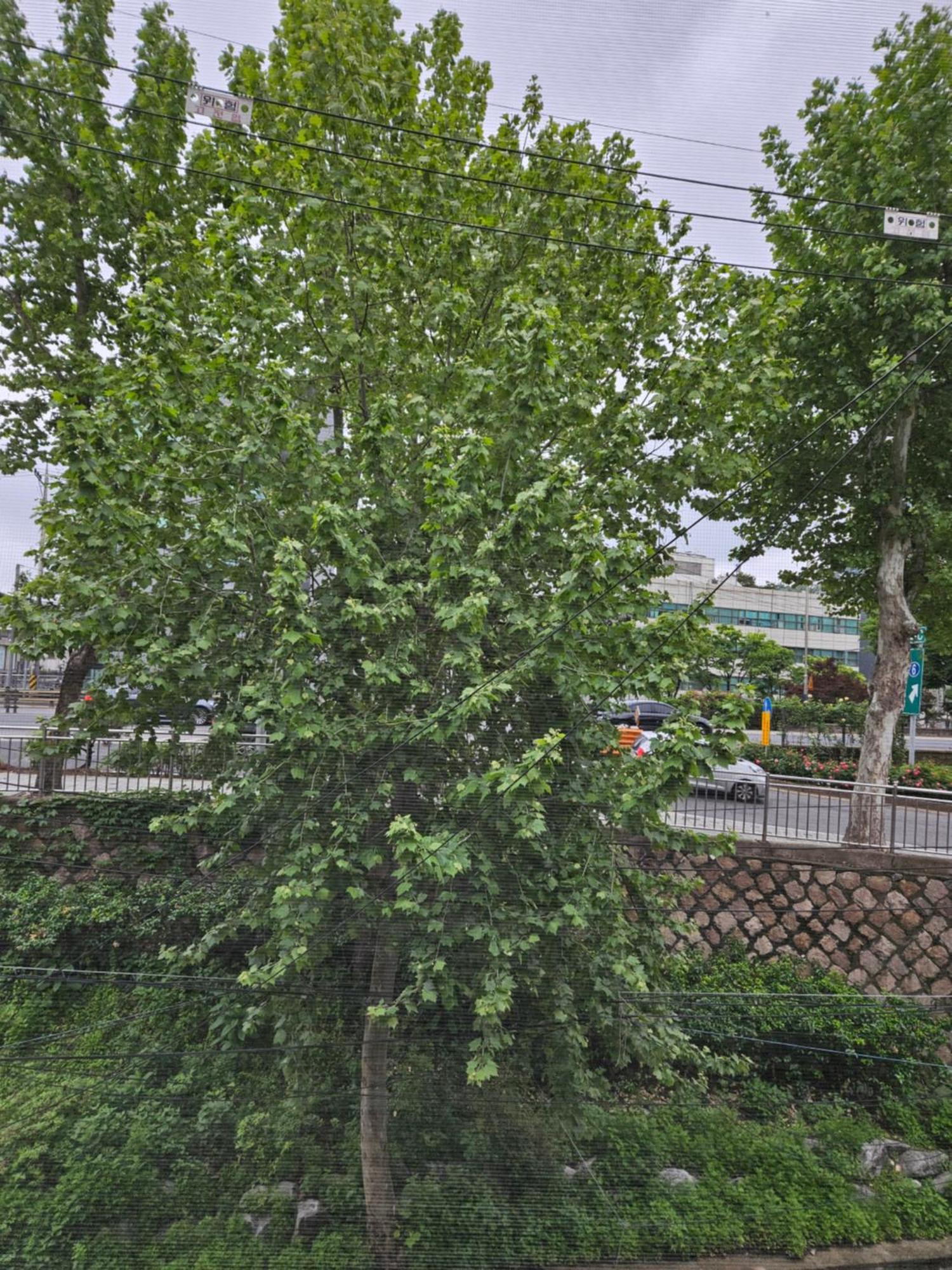 Hongdae Ssuny House Guest house Seoul