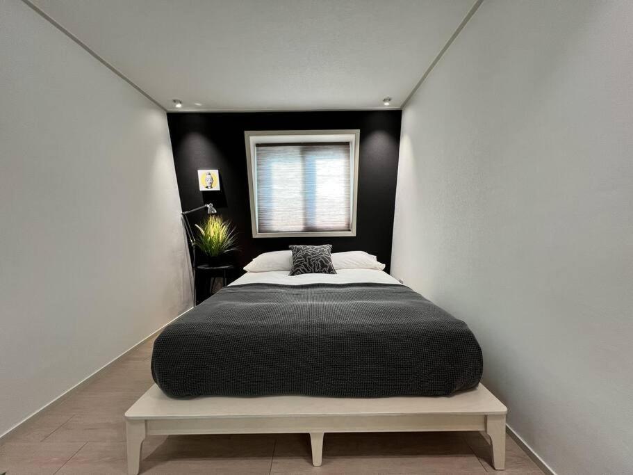 Bibi House In Hongdae