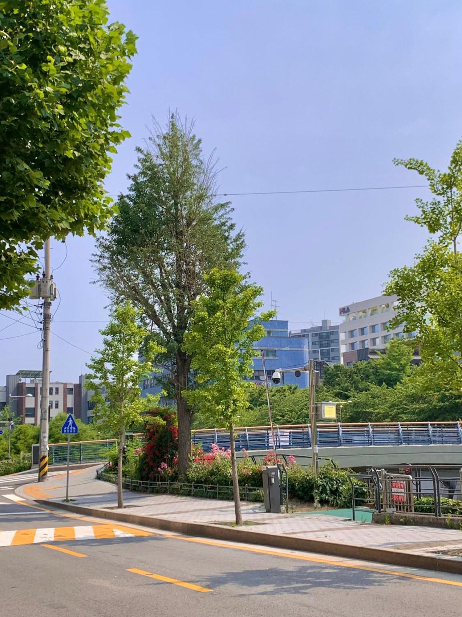 Villa Youjin House Seoul