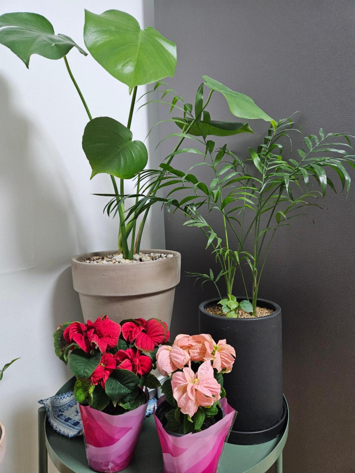 Hongdae Ssuny House Guest house *