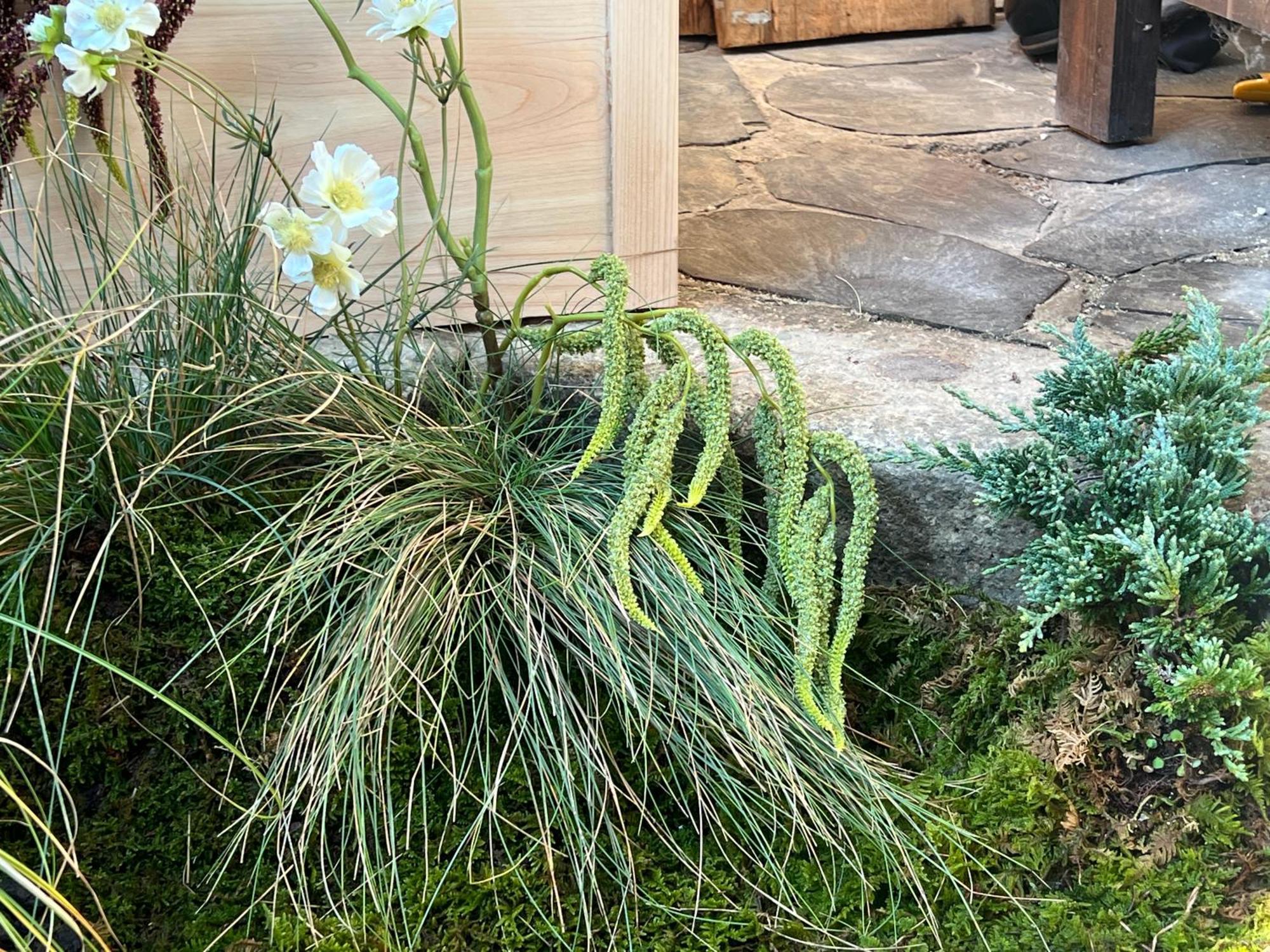 A Traditional Korean House With A Yard Seoul