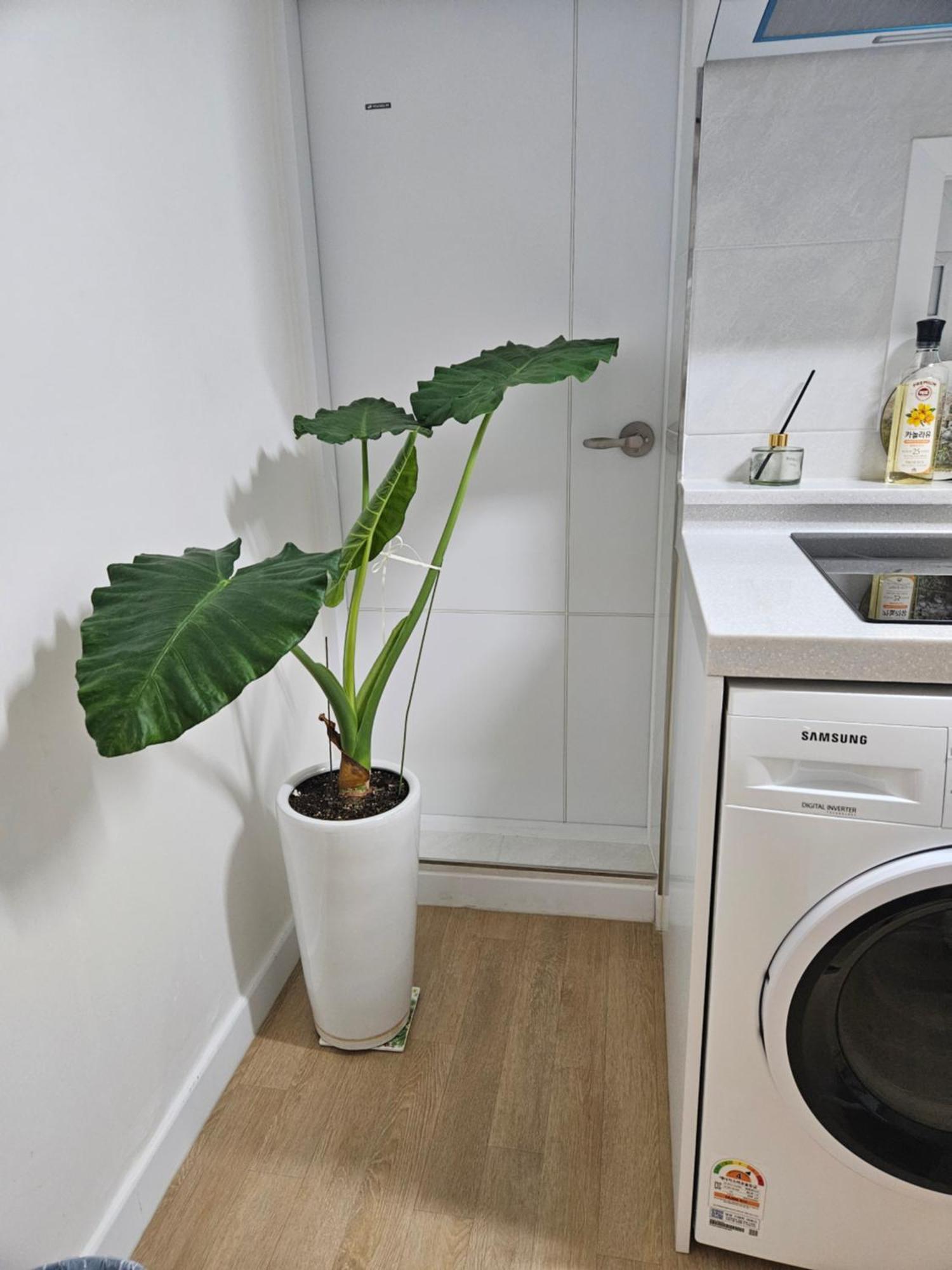 Hongdae Ssuny House Guest house Seoul