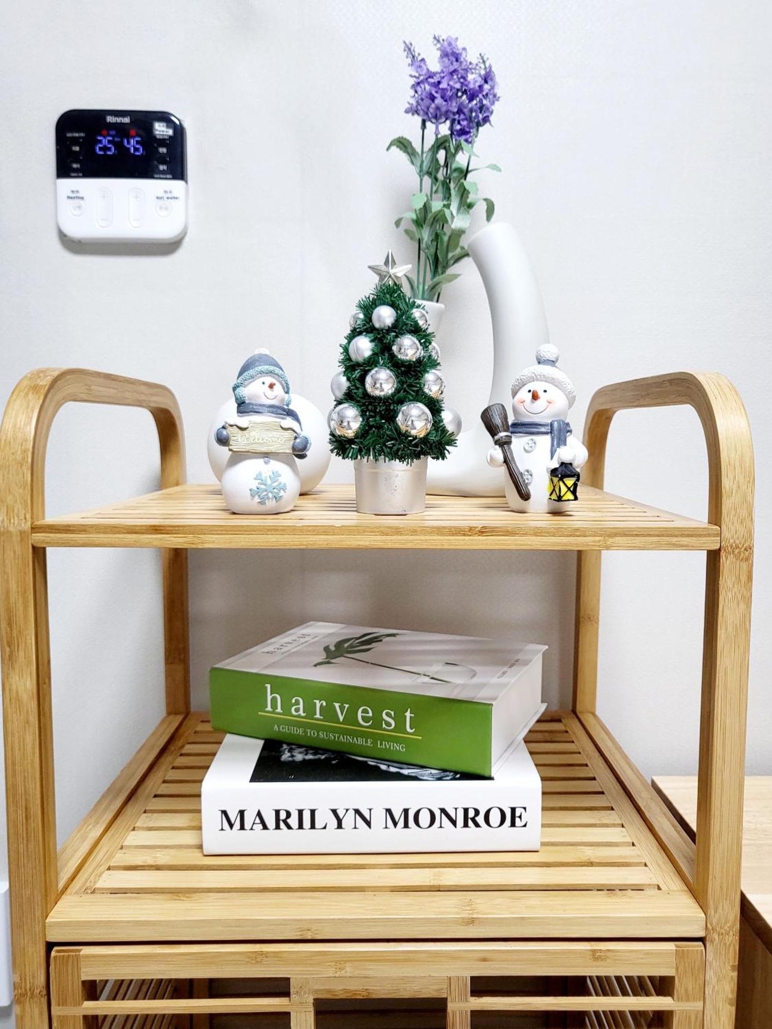 Apartment Moon House In #quiet #airport Transport Nearby#1 Min To Line2 Nakseongdae Subway