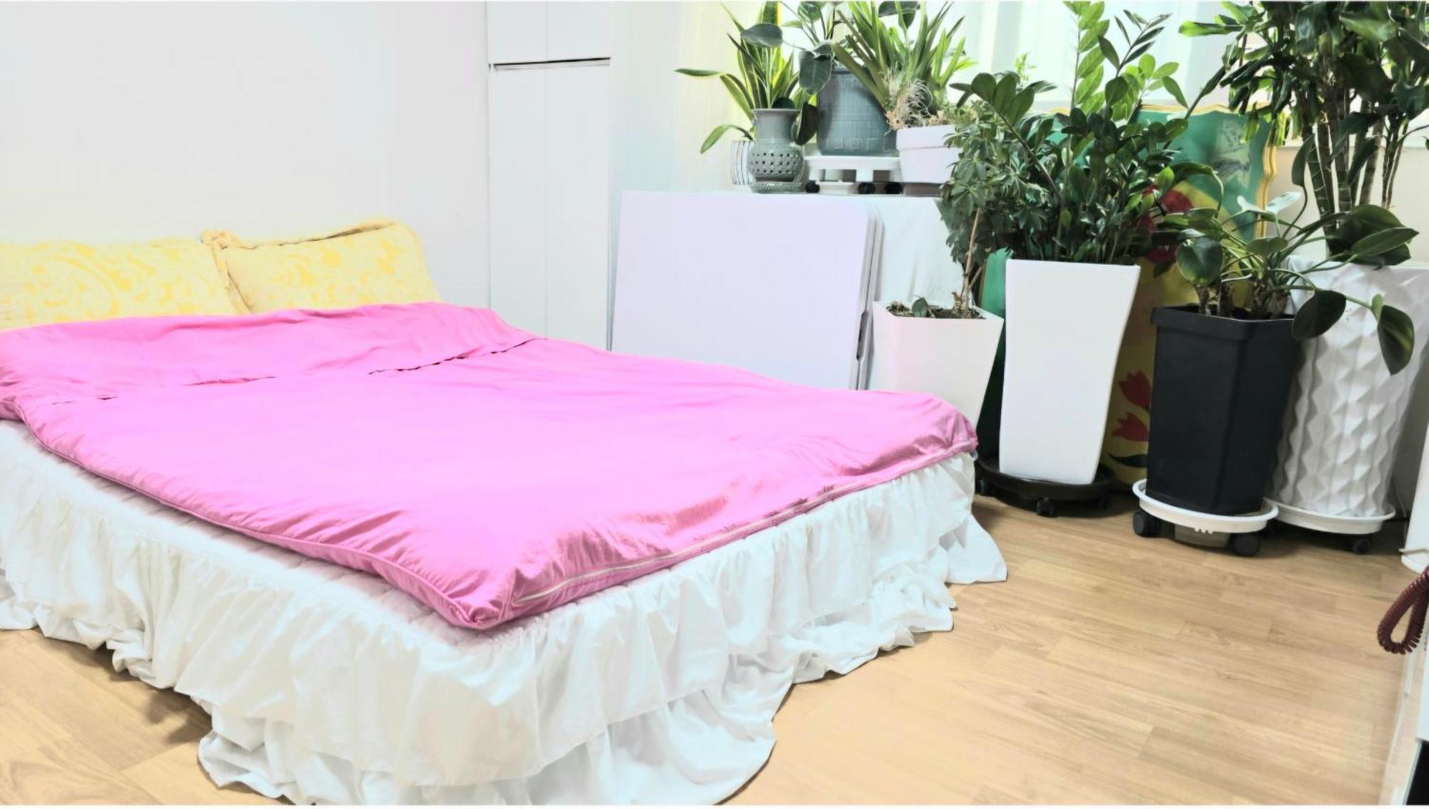 Homestay Artist House