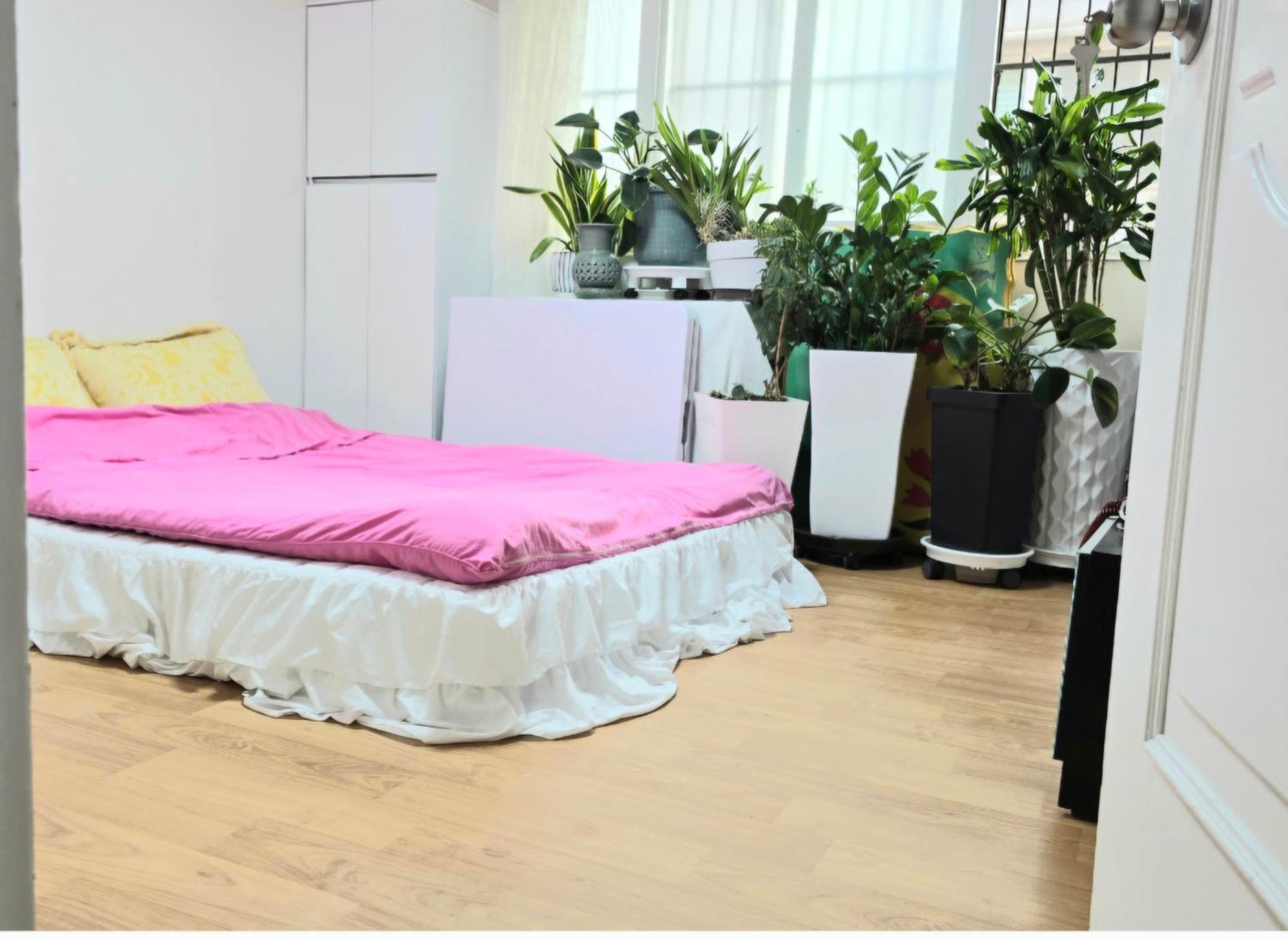 Artist House Homestay *