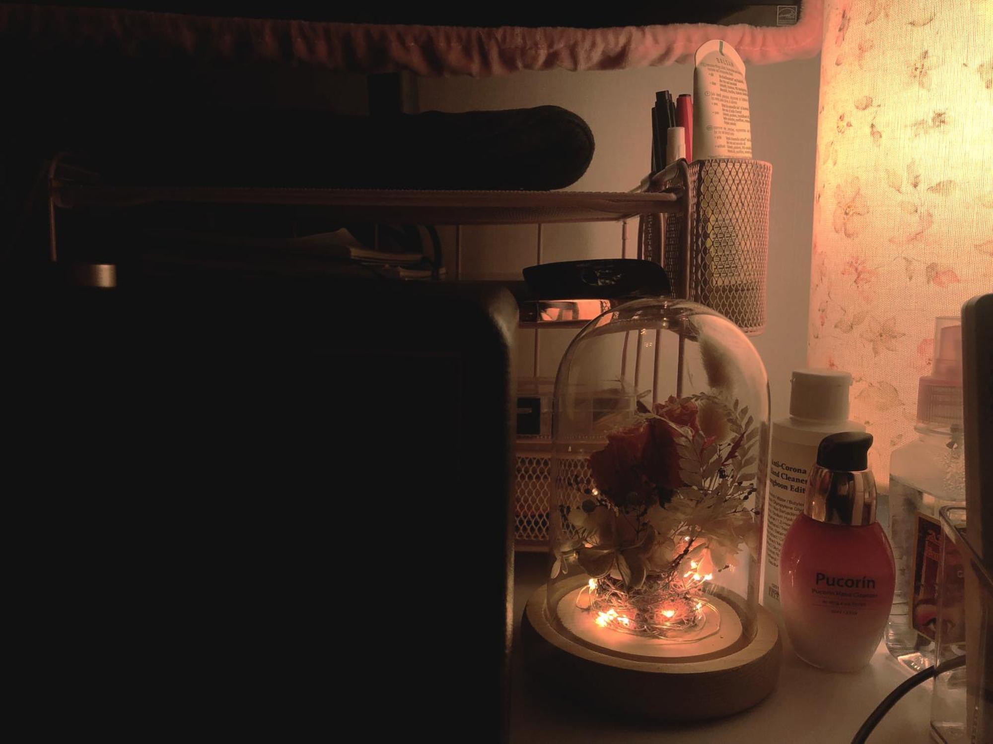 Apartment De Musicien