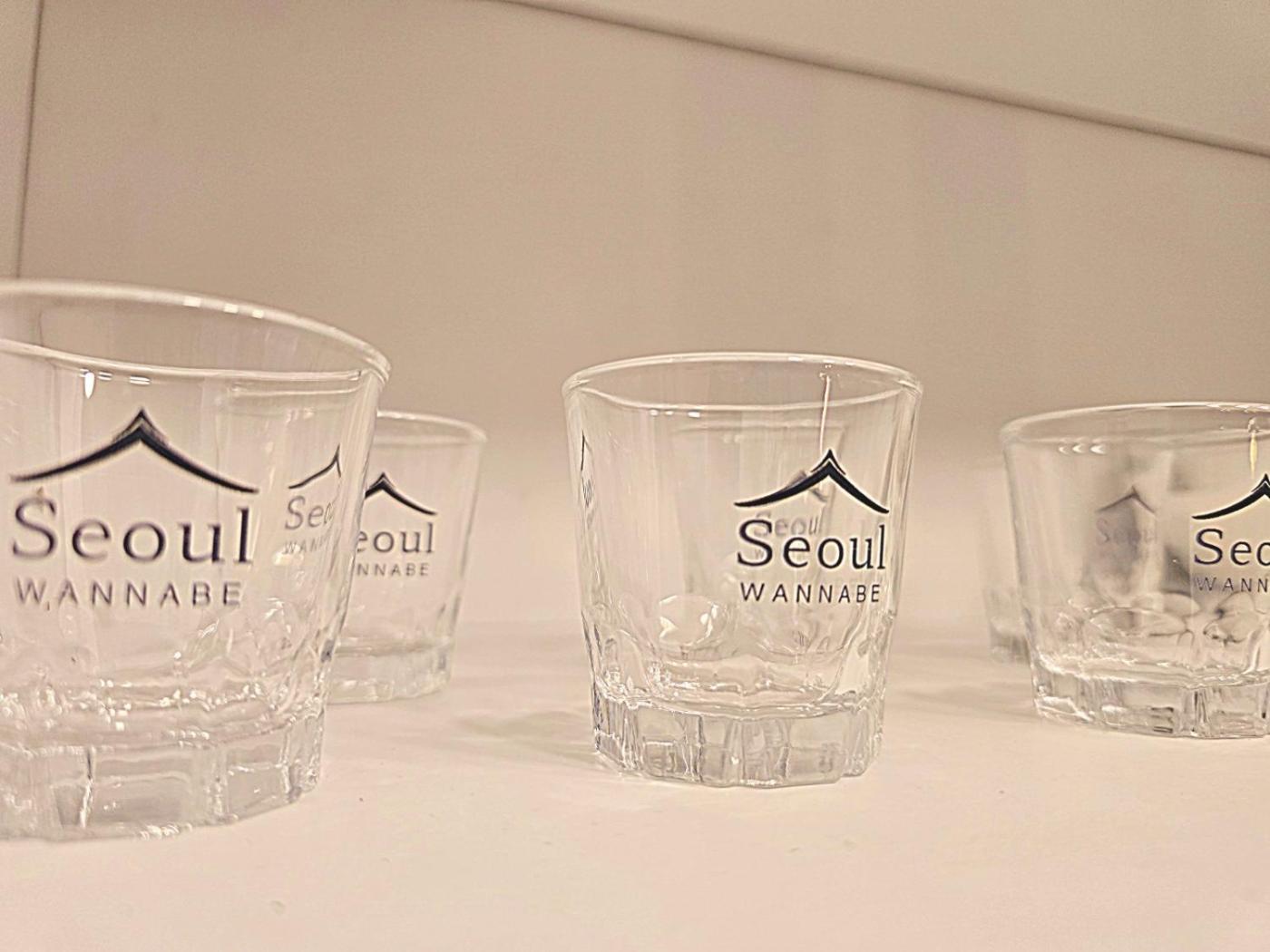 Seoul Cozy Residence Near Kangnam- Foreigners Only Apartment Seoul