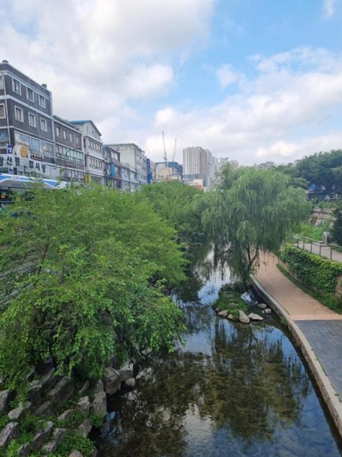 Namsan&city View House Near Ddp *