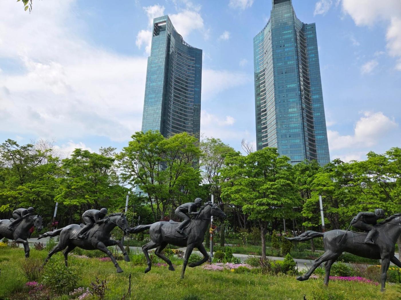 Forest Hangang