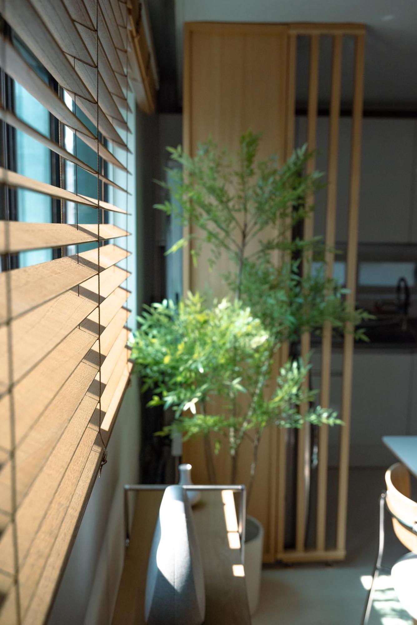 Hanyang - Foreigner Only Villa *