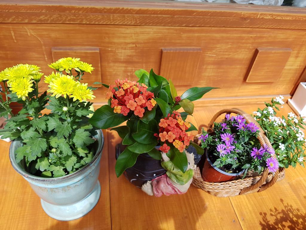 Guest house Dajayon Hanok Seoul