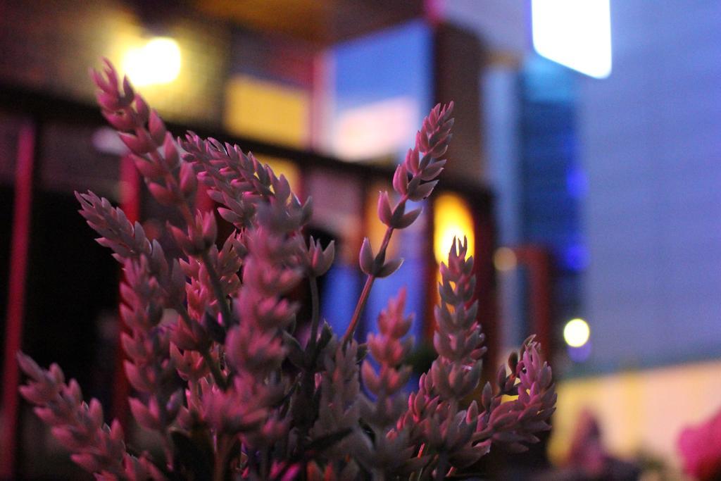 Hongdae Style 2*