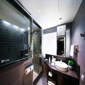 Hotel Solaria Nishitetsu Myeongdong 3*