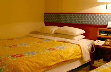 Dong Hotel 3*