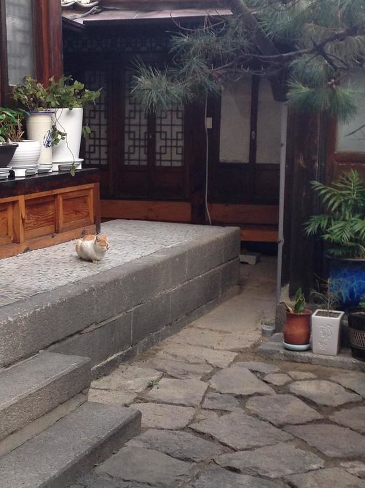 Sophia Hanok Guest house 2*