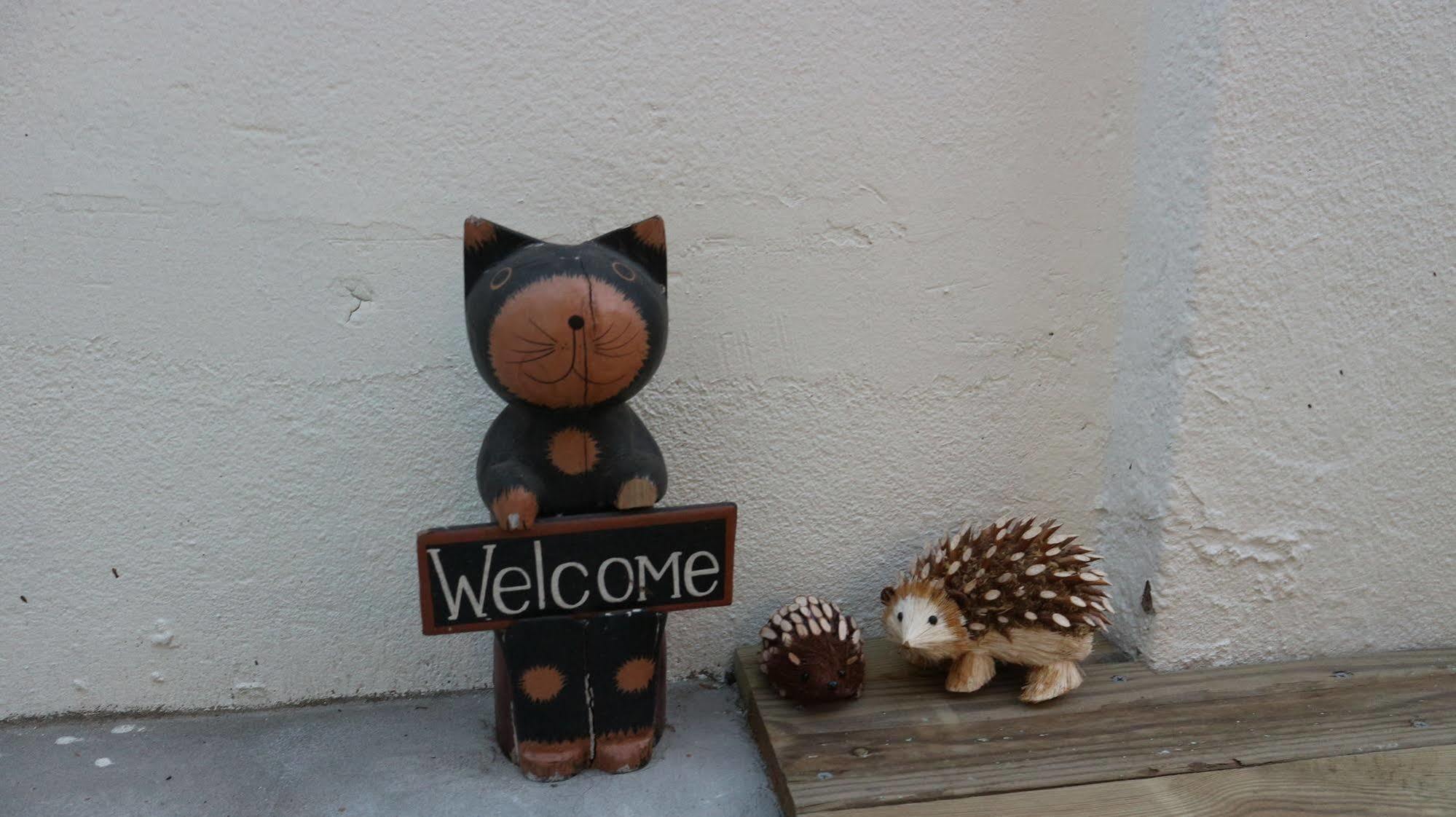 Zzzip In Hongdae Hostel