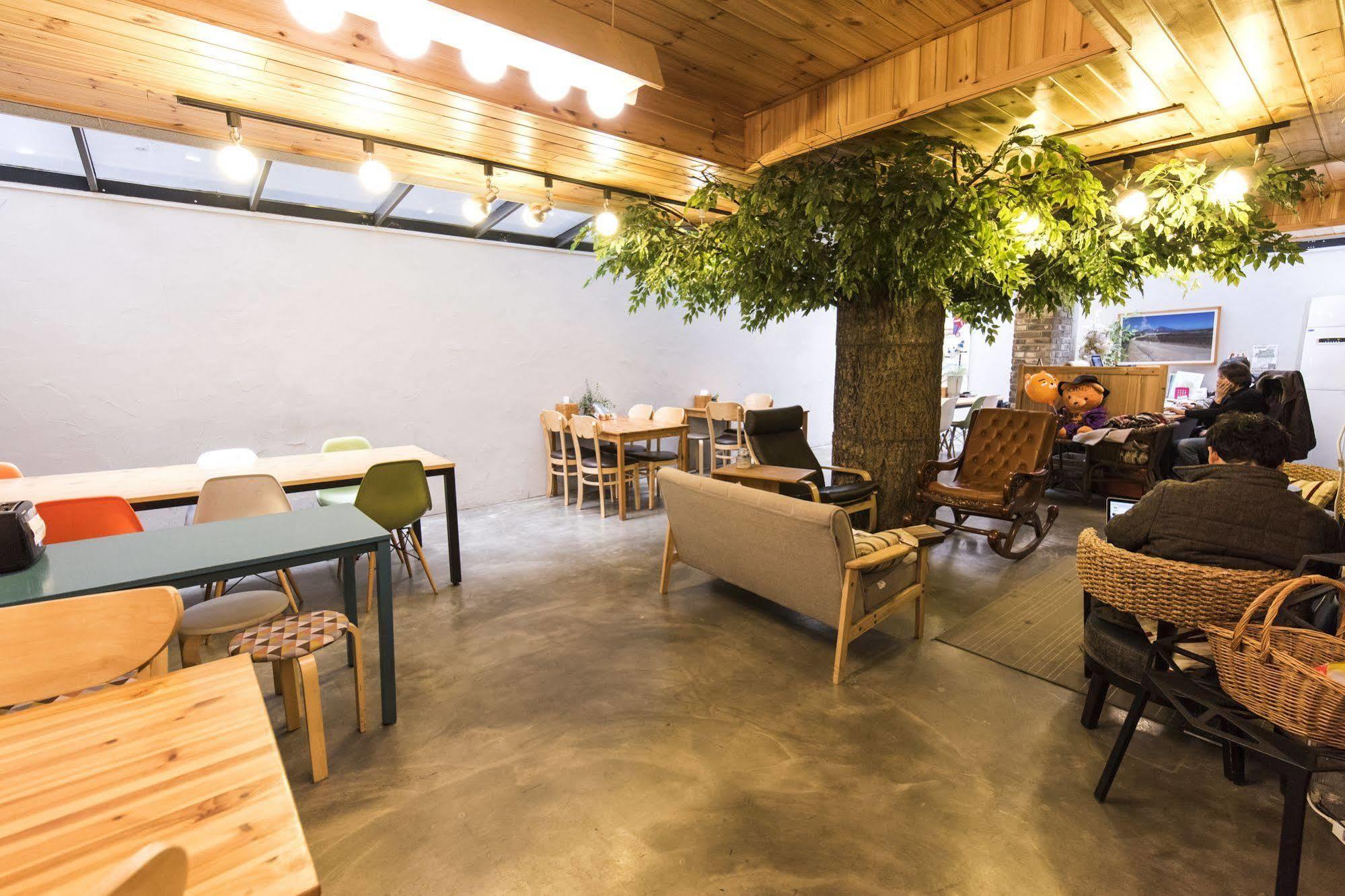 Twin Rabbit Hostel