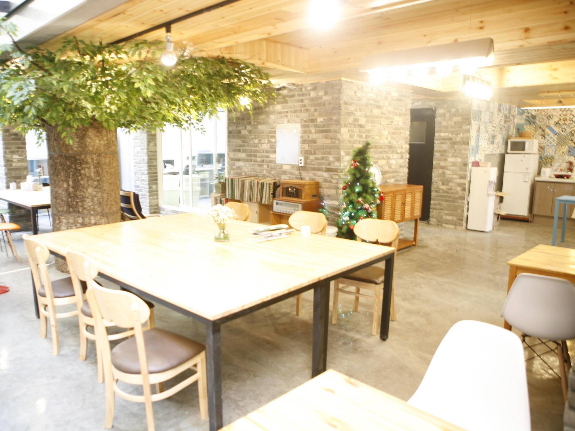 Twin Rabbit Hostel *