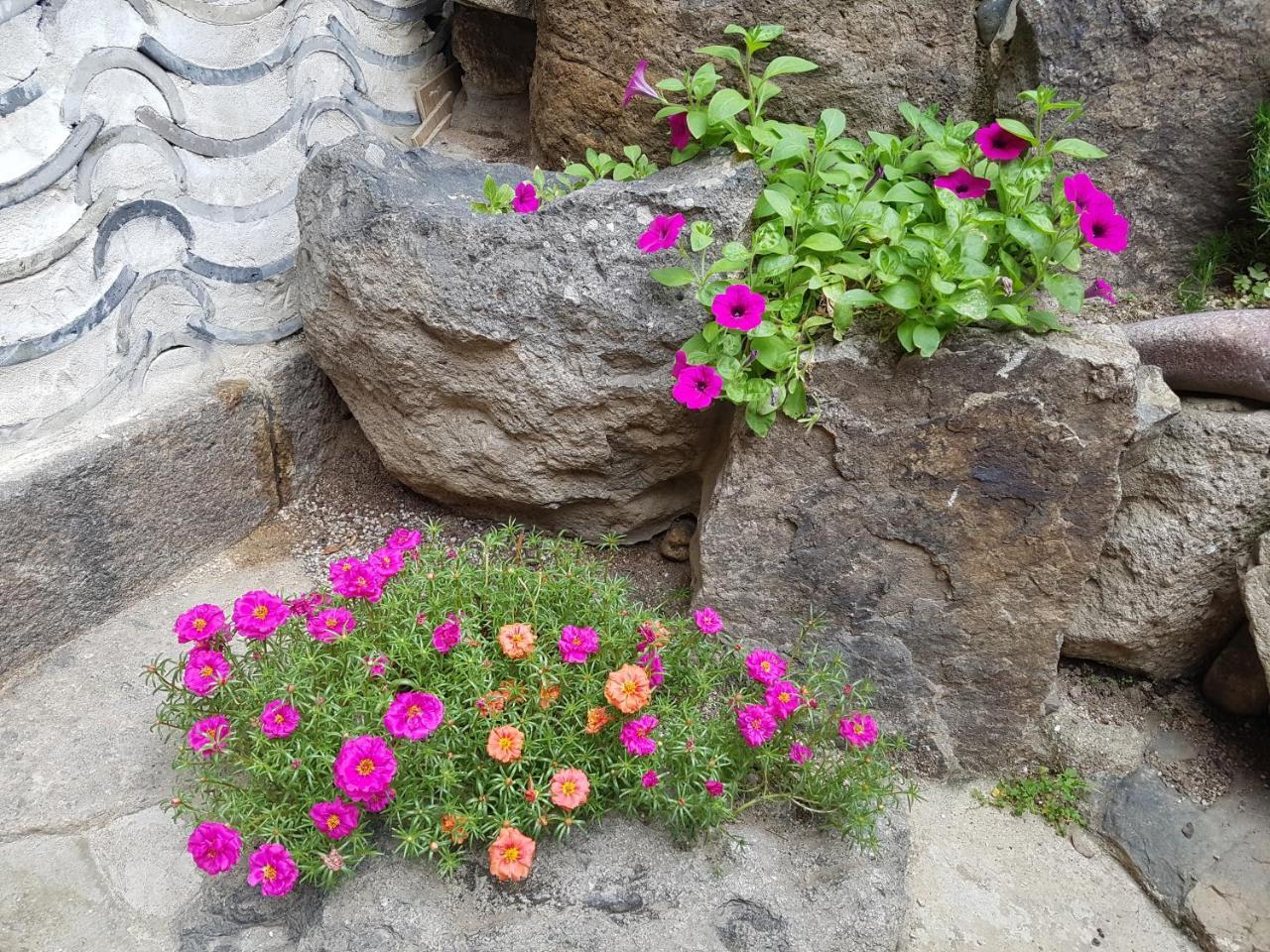 Dajayon Hanok 2* Seoul