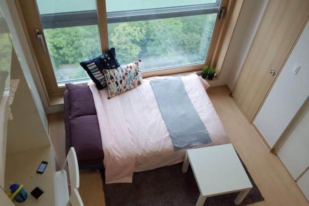 Lotte World View Loft Apartment *