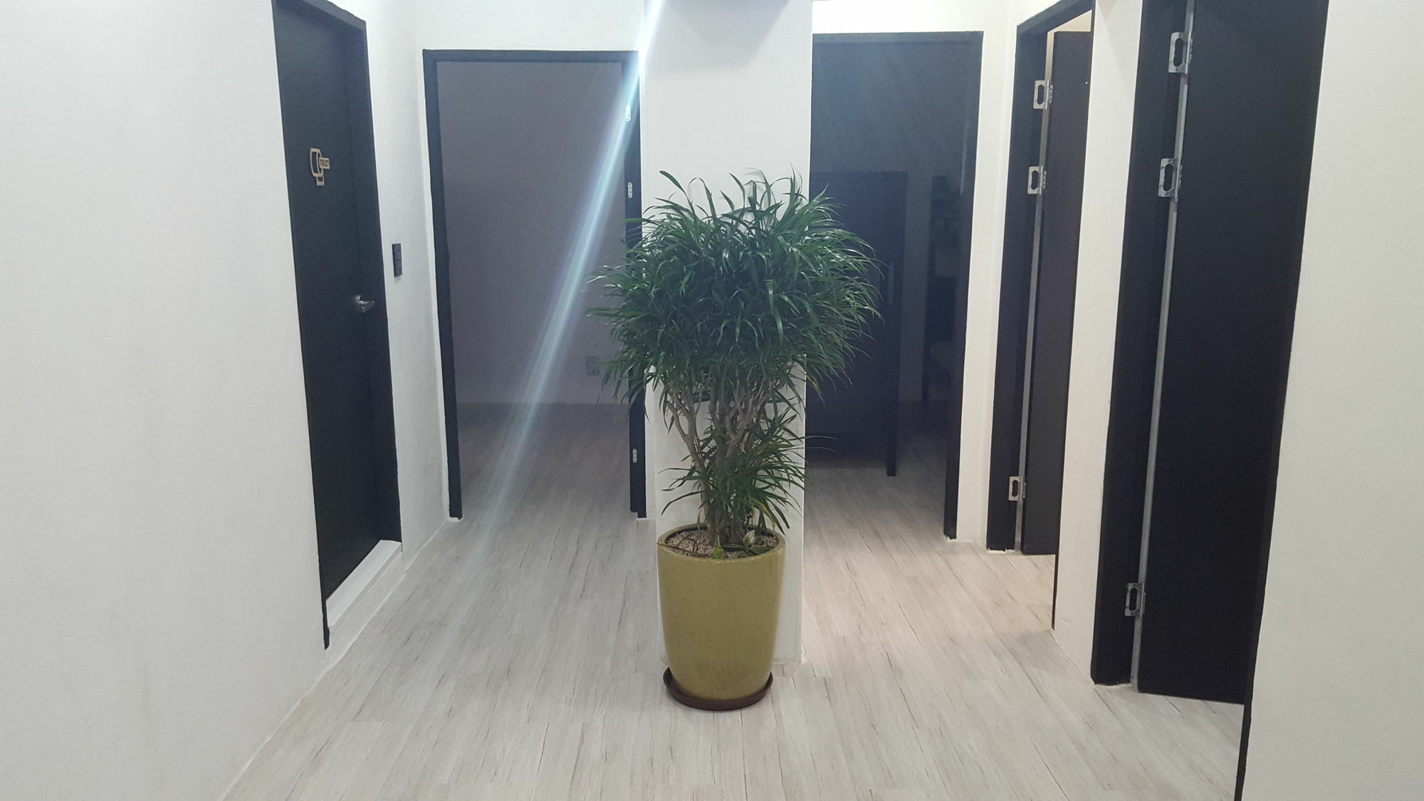 Guest house Amazon