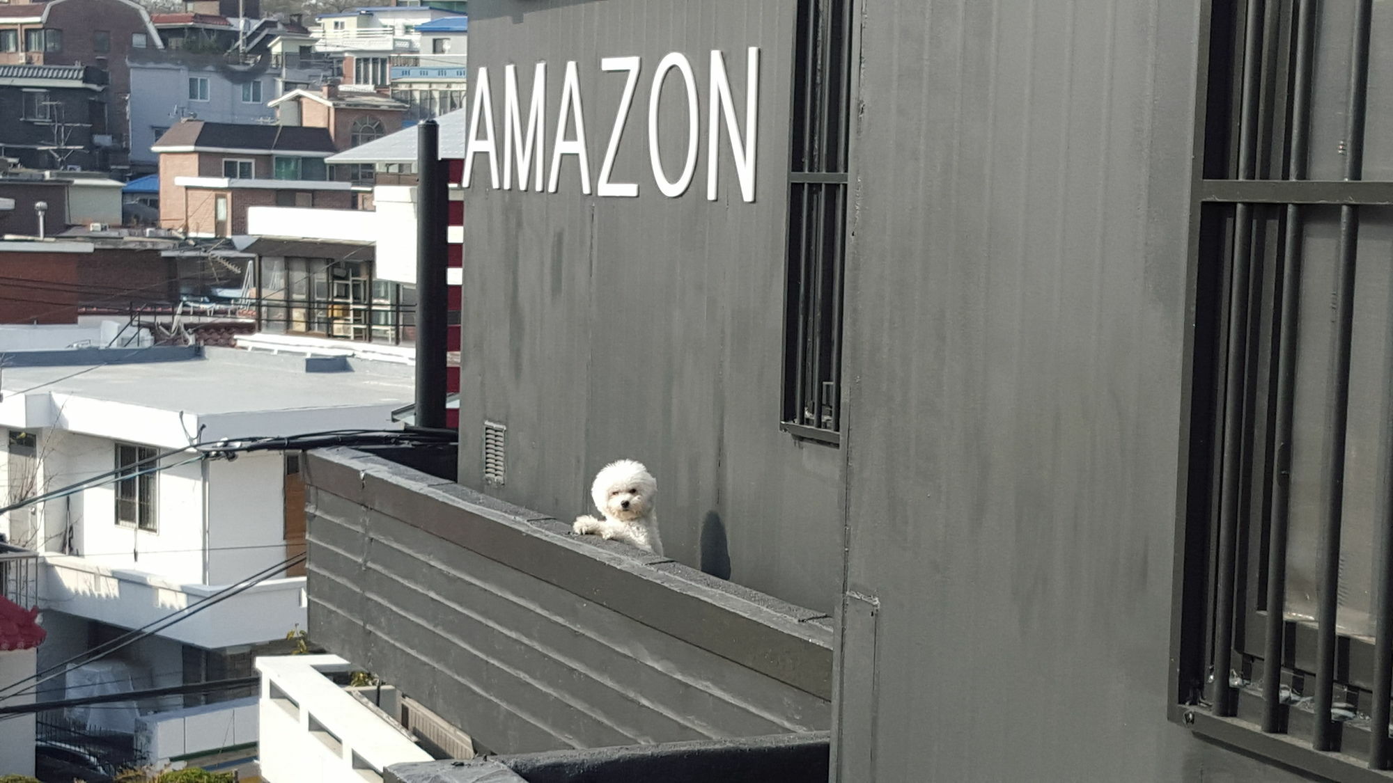 Amazon Seoul