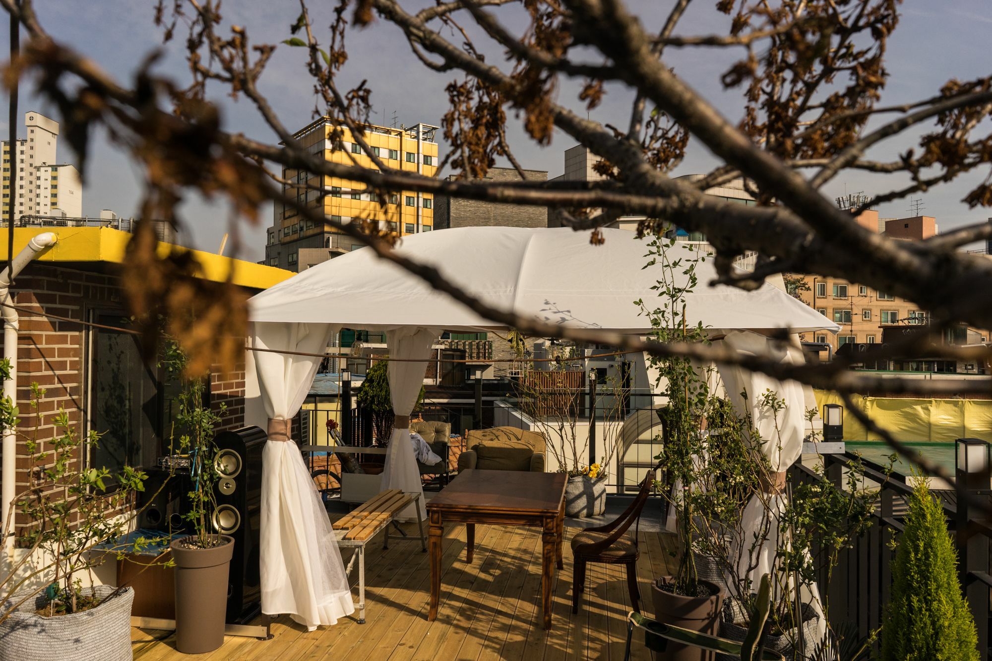 Tetto House Rooftop Garden